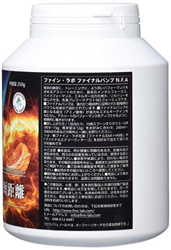 Buy Fine Lab FINALPUMP N.F.A 250g from Japan - Buy authentic Plus