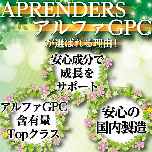 アプレンダーズ アルファGPC(1日1%ｶﾝﾏ%000mg配合30日分) - 日本の商品