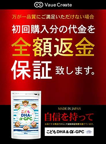 こども DHA&α-GPC DHA EPA α-GPC ホスファチジルセリン 配合 【集中