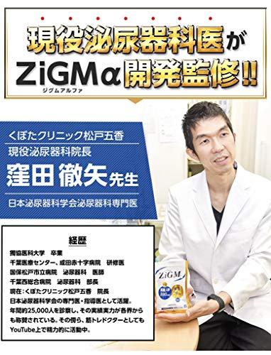 亜鉛600mg最高配合】ZIGMα ジグムアルファ 120粒 約1ヶ月分 特許サプリメント - 日本の商品を世界中にお届け | ZenPlus