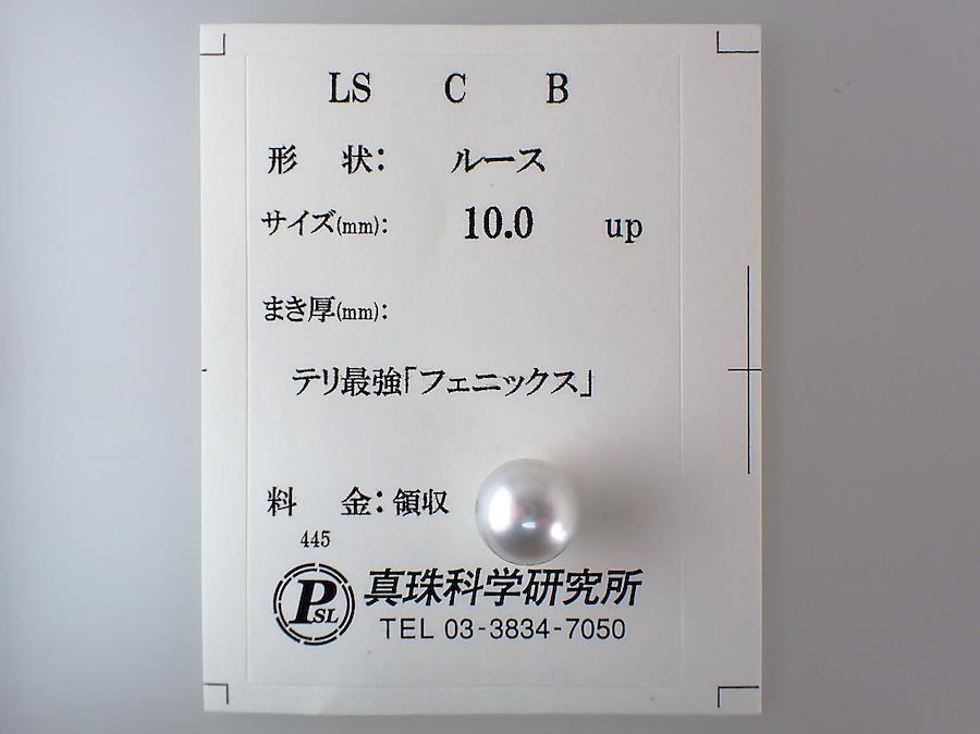 ルース 南洋白蝶真珠 テリ最強「フェニックス」 10mm - 日本の商品を ...