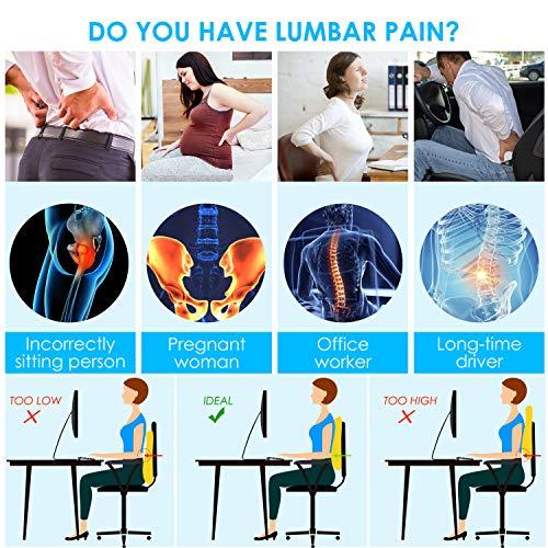 Lumbar Support Pillow for Office Chair Car Lumbar Pillow Memory Foam Back  Cushion with Breathable 3D Mesh Lumbar Support Orthopedic Backrest for Lower  Back Pain Relief Ergonomic Orthopedic Backrest 
