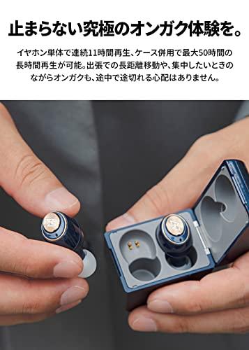 AVIOT TE-D01gv Bluetooth イヤホン ワイヤレスイヤホン iPhone