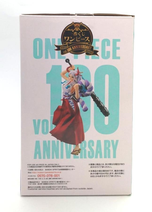 One Piece, Vol. 100 [Book]