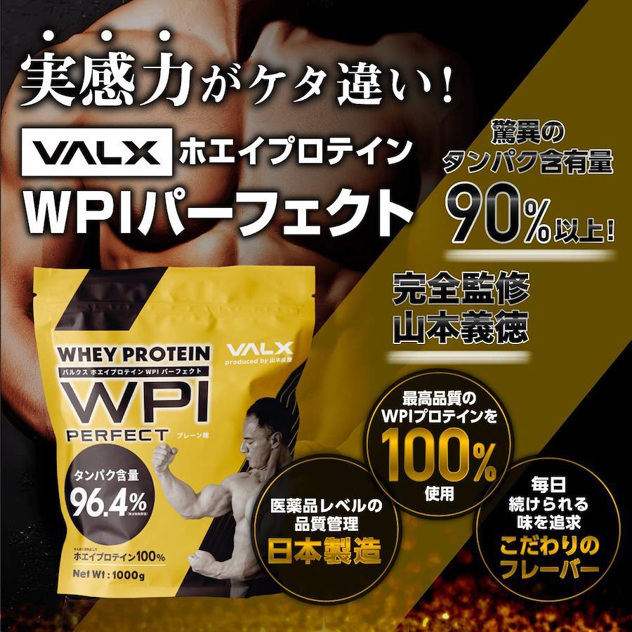 VALX バルクス ホエイ プロテイン WPI パーフェクト 抹茶風味 Produced ...