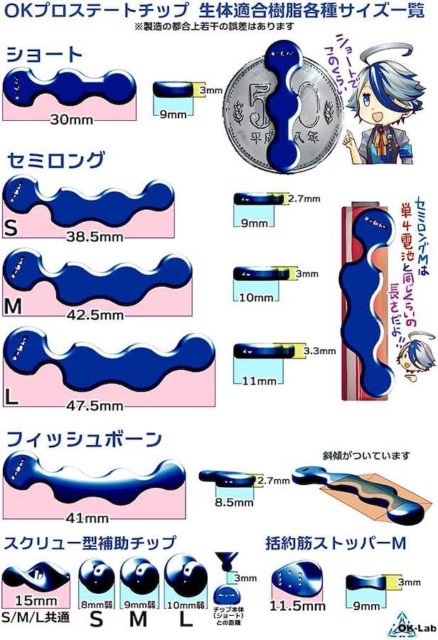 OKプロステートチップ セミロングタイプ 生体適合樹脂製 (S) - 日本の商品を世界中にお届け | ZenPlus