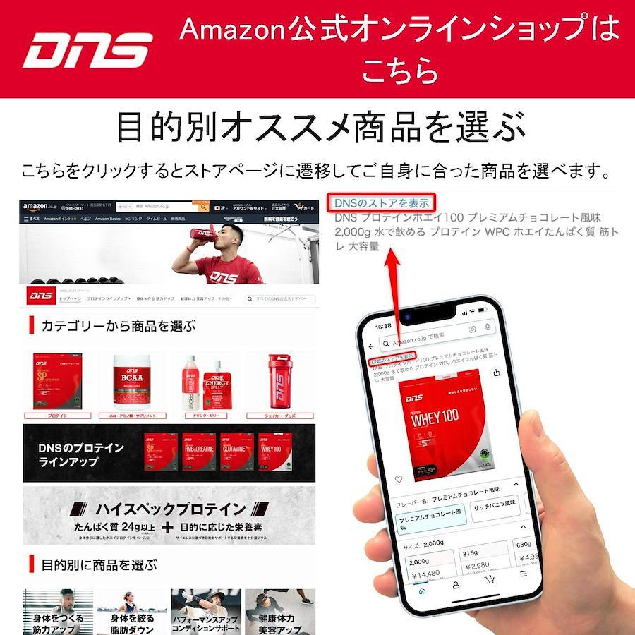 日本ショップ 【即決可！2個セット！送料込み！DNS CASEIN&WHEY】 - 食品