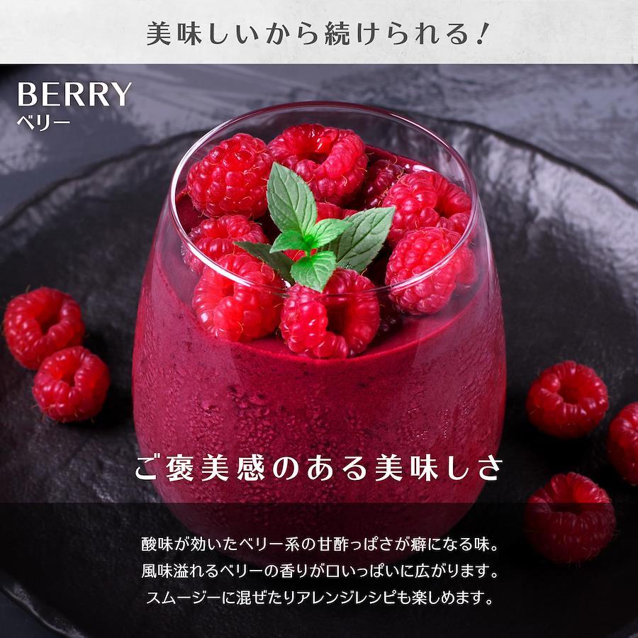 VALX Bulk Whey Protein Berry Flavor Produced by Yoshinori Yamamoto 420g  Trial Domestic Production