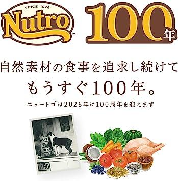 Nutro cat outlet food 3kg