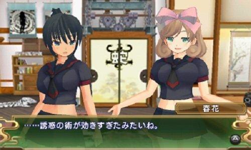 閃乱カグラ Burst -紅蓮の少女達- - 3DS - 日本の商品を世界中にお届け