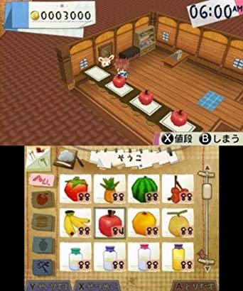 Hometown story deals 3ds