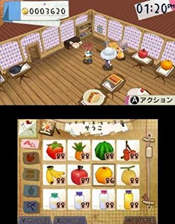 Hometown story deals 3ds