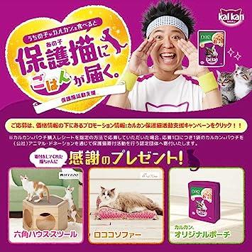 カルカン キャットフード パウチ 18歳から 海の幸ミックス まぐろ・白身魚・さけ入り 70g×16袋 (まとめ買い) 日本の商品を世界中にお届け  ZenPlus