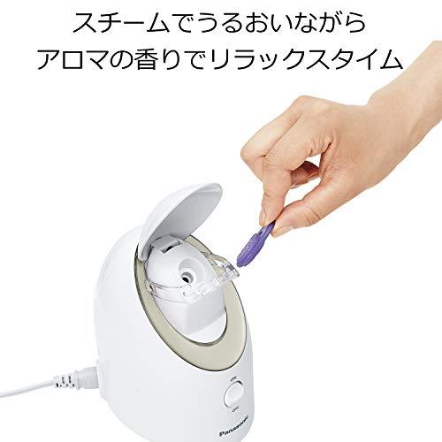 Buy Panasonic Steamer Nano Care Compact Type Gold Tone EH-SA3B-N