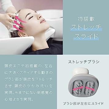 Panasonic Scalp Beauty Salon Touch Type Brown Tone EH-HE0G-T