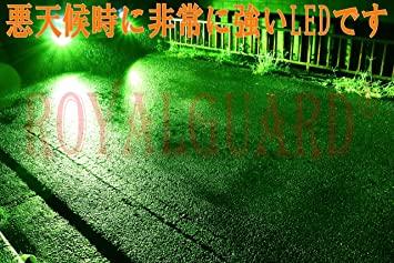 Buy Reiwa 5 New Product LED Fog Lamp Lime Yellow H8 H11 H16