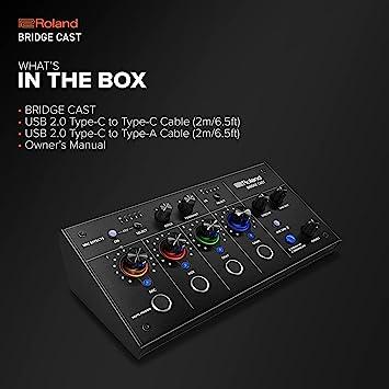 Roland Bridge Cast ローランド ローランド Roland デュアル・バス