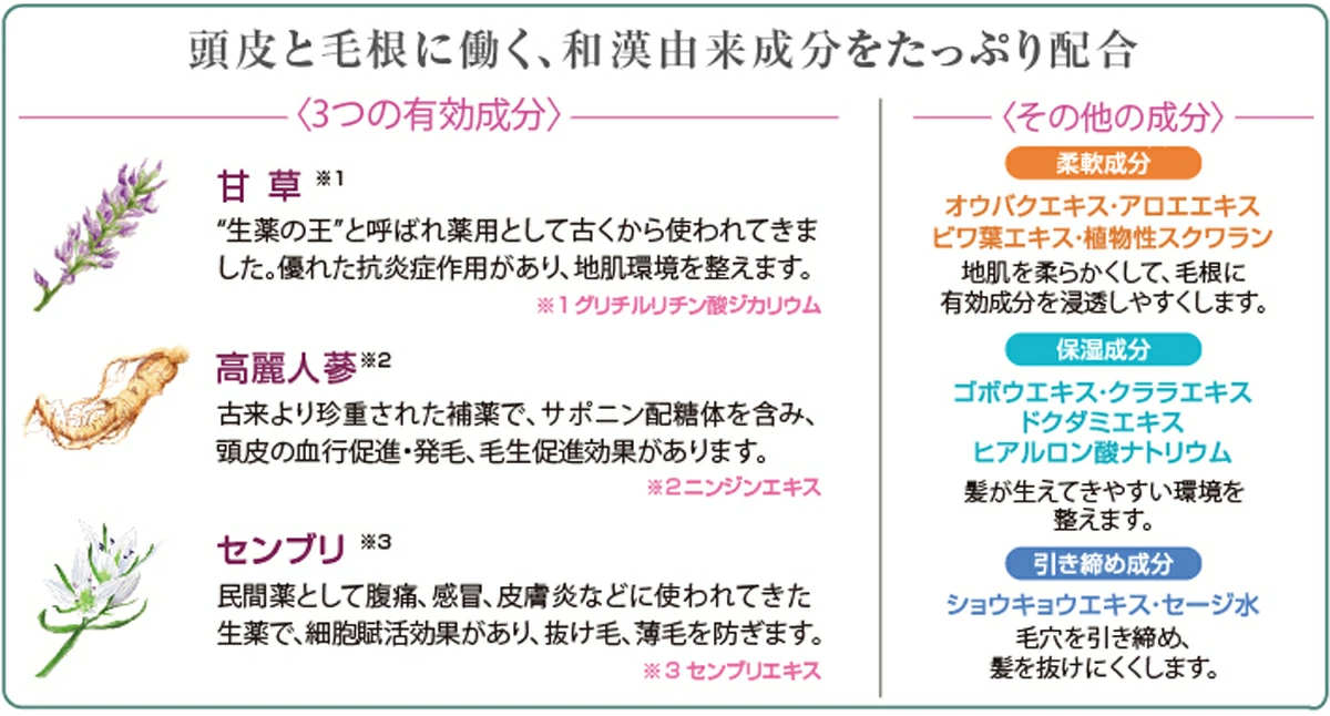 アズマ商事 旅美人 和漢草とろみ育毛剤 3本入 とろみ 育毛剤 薄毛 育毛 養毛剤 セット アズマ商事育毛剤 アズマ商事とろみ育毛剤 アズマ商事  旅美人 育毛剤 アズマ商事育毛剤 旅美人育毛剤 とろみ育毛剤 日本の商品を世界中にお届け ZenPlus