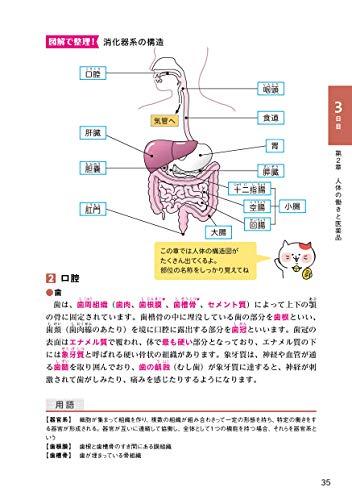 ユーキャンの登録販売者 速習テキスト&重要過去問題集 第2版