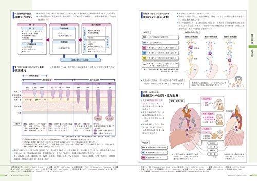 病気がみえる 〈vol.1〉 消化器 - 日本の商品を世界中にお届け | ZenPlus