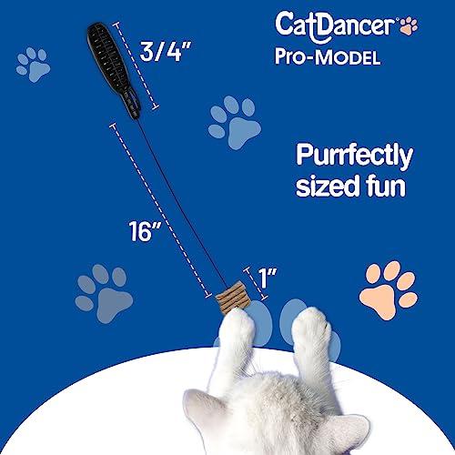 Cat Dancer - Cat Dancer Products