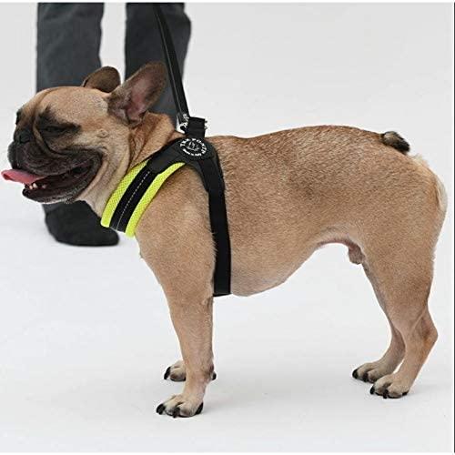 Tre Ponti Fibbia Adjustable Type SOFT MESH Fibbia Soft Mesh Adjustable  Cushioning Breathable Harness for Dogs (LTP123) (No. 1.5, Black)