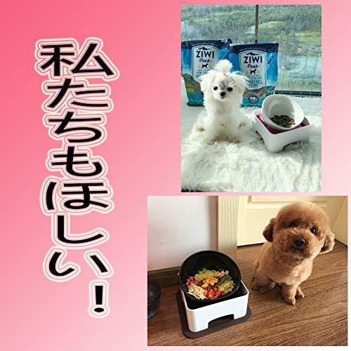 TAKIMI 犬 食器 陶器 犬用 食事 皿 いぬ フレンチブルドッグ 専用