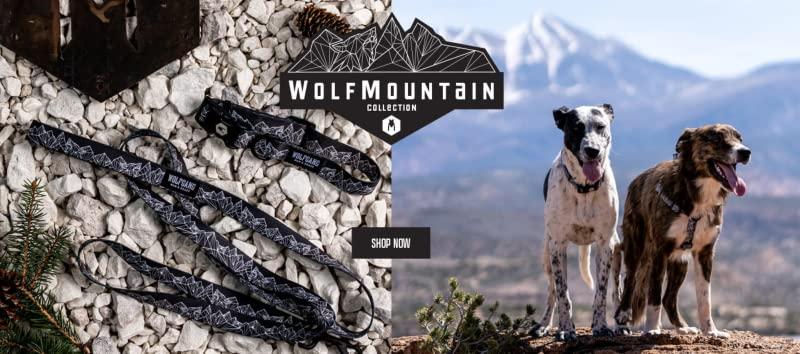 Wolfgang Man and Beast Dog Collar