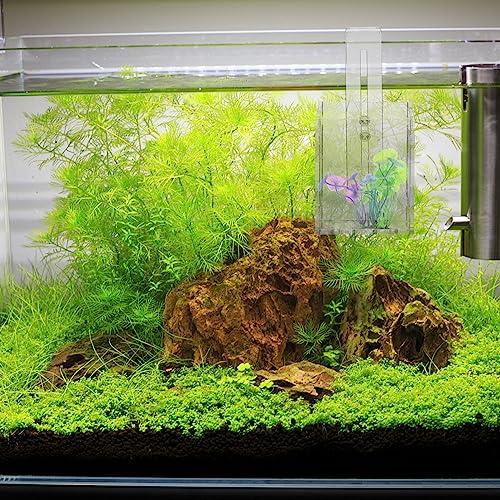 Generic 水槽 装飾 水族館 水槽鉢 水草ポット スカイガーデン 水草 水槽 植物 ポット ホルダー 吊り下げる 装飾 アクリル 水槽  プランター 吊り下げ 魚 水槽 水 プランター 透明 水 植物 容器 用 水槽 魚 水槽 装飾