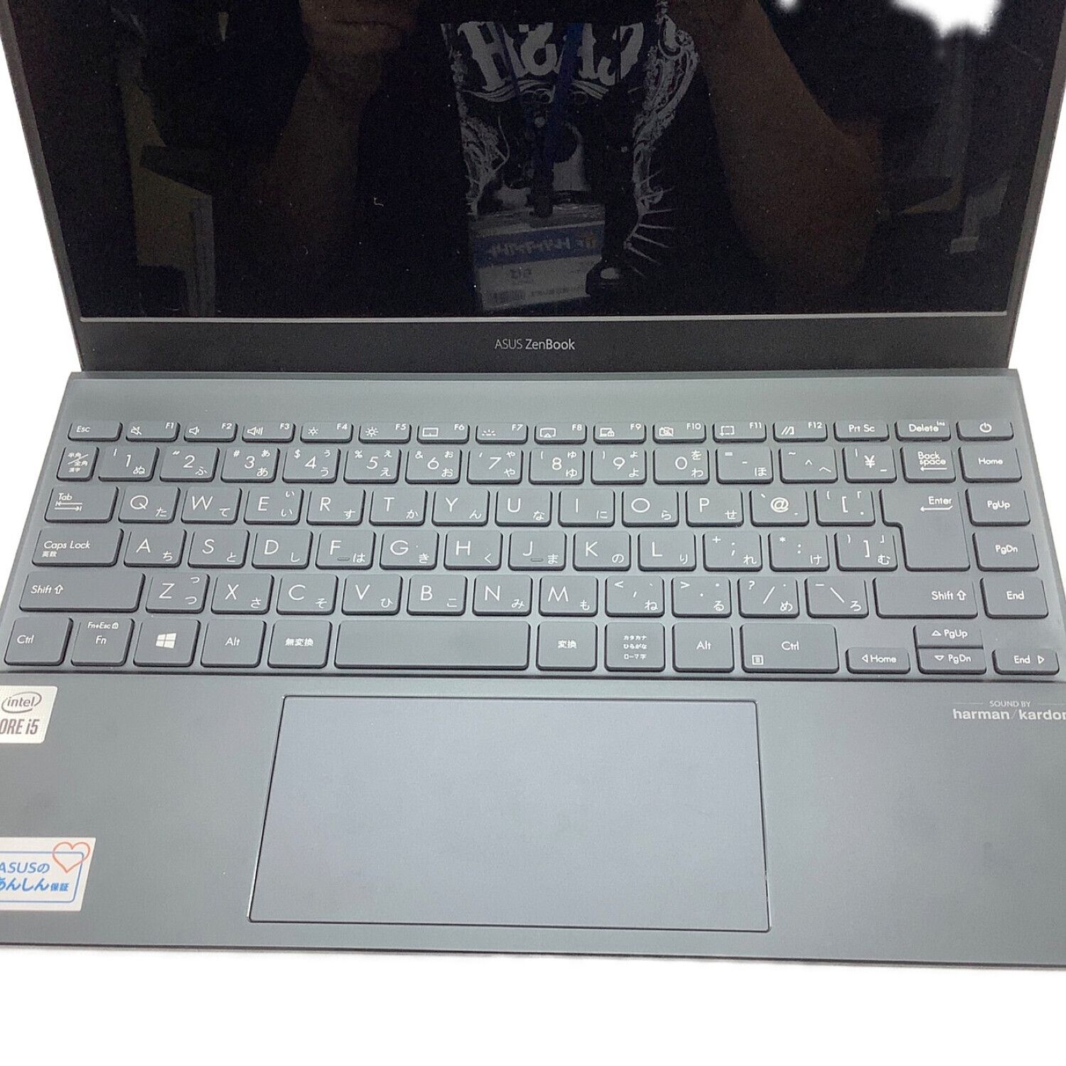 ASUS ZenBook Organic Display Full HD UX325J 13.3