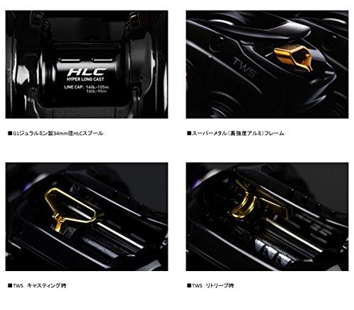 ダイワ(DAIWA) ベイトリール 15 タトゥーラ HLC 8.1R-TW (2015モデル)