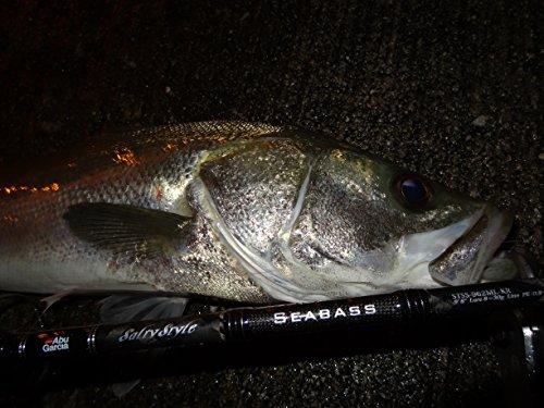 Buy Abu Garcia Seabass Rod Spinning Salty Style Seabass STSS-962M