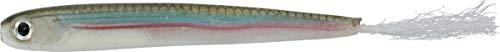 Buy IMAKATSU Worm Rainbow Shad 3 Inch Eco-friendly Product #S-243 Real Imae  Smelt from Japan - Buy authentic Plus exclusive items from Japan
