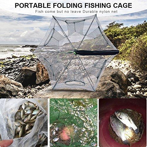 Buy [6/8 Holes] Fishing Gear, Fish Catching Net, Fishing Net, Folding  Basket, All-in-one Trap, Fishing Net Cage, Big Catch, Fishing Net Cage, 6  Holes from Japan - Buy authentic Plus exclusive items