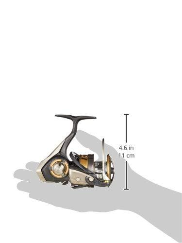 Buy DAIWA spinning reel 18 Regalis LT4000D-CXH (2018 model) from