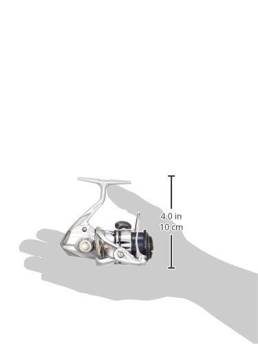 シマノ(SHIMANO) スピニングリール 19 ストラディック C2000SHG 渓流トラウト ライトソルト全般