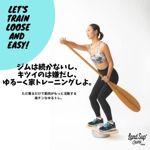 Buy LandSup? Crazy mini LandSup Balance Board Core Training Wooden