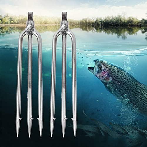 Buy Agatige 2Pcs 3 Prong Fish Spear, Stainless Steel Fishing Harpoon Barb  Fishing with Gig Gaff Hook Bamboo Spear Fishing Gaff for Outdoor Fishing  Tackle Single Claw 6mm Thickness 8mm/0.31inch Fishing from