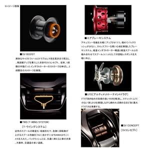 ダイワ(DAIWA) スティーズリミテッド SV TW 1000L 左ハンドル(ベイト