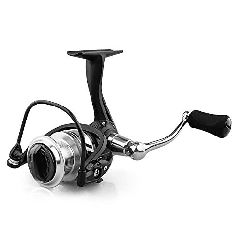 Buy Ashconfish Spinning Reel 7+1BB PE Thread Universal Fishing Reel Left  and Right Interchangeable Handle EVA Handle Knob BF3000 from Japan - Buy  authentic Plus exclusive items from Japan