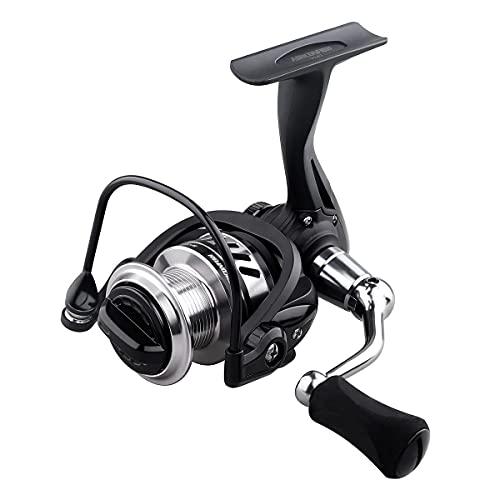 Buy Ashconfish Spinning Reel 7+1BB PE Thread Universal Fishing Reel Left  and Right Interchangeable Handle EVA Handle Knob BF3000 from Japan - Buy  authentic Plus exclusive items from Japan