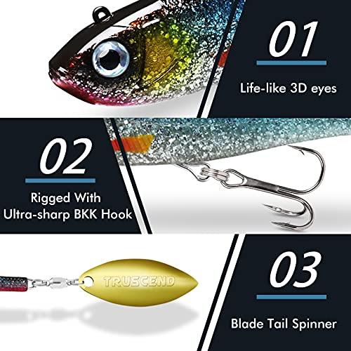 Buy TRUSCEND Pre-Rig Jig Head Soft Fishing Lure, Paddle Tail Swimbait for Bass  Fishing, Shad or Tadpole Lure with Spinner, Premium Fishing Bait for  Saltwater Freshwater, Trout Crappie Fishing from Japan 