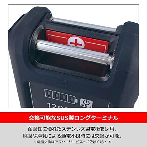 Buy Daiwa Electric Reel Battery Super Lithium 12000WP-C from Japan