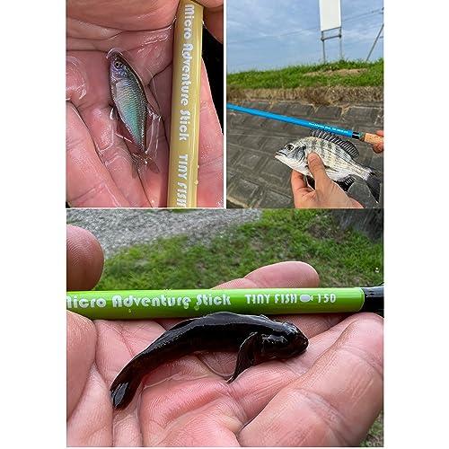 Micro Adventure Stick (マイクロアドベンチャースティック)◇TINY FISH + RIG 210 SAND (サンド)