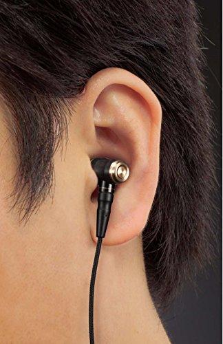 JVC HA-FX1100 WOOD series in-ear earphones re-cable/high