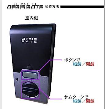 Buy Electronic lock AEGIS GATE (Aegis gate) with installation