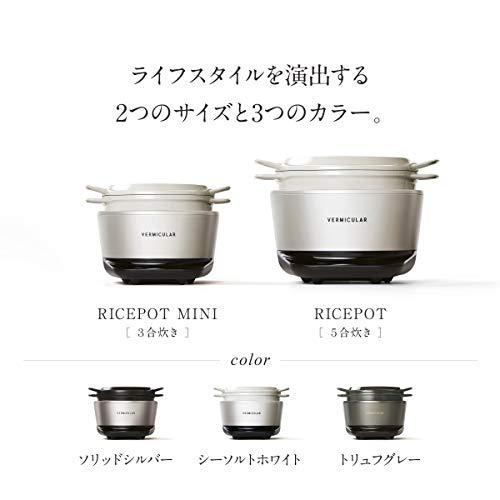 バーミキュラ ライスポット 5合炊き 炊飯器 トリュフグレー 専用レシピ