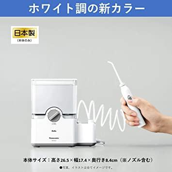 Buy Panasonic Oral Irrigator Jet Washer Doltz White EW-DJ63-W from