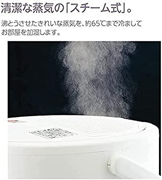 Buy Zojirushi Humidifier 4.0L Gray EE-DC50-HA from Japan - Buy