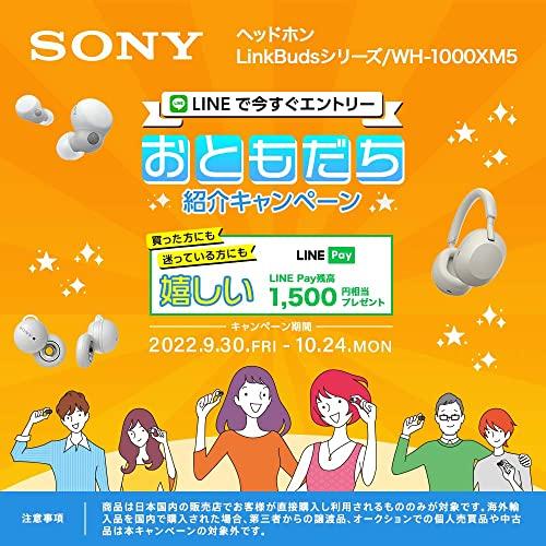 SixTONES appearance CM LinkBuds S Sony wireless noise canceling stereo  earphone LinkBuds S WF-LS900N